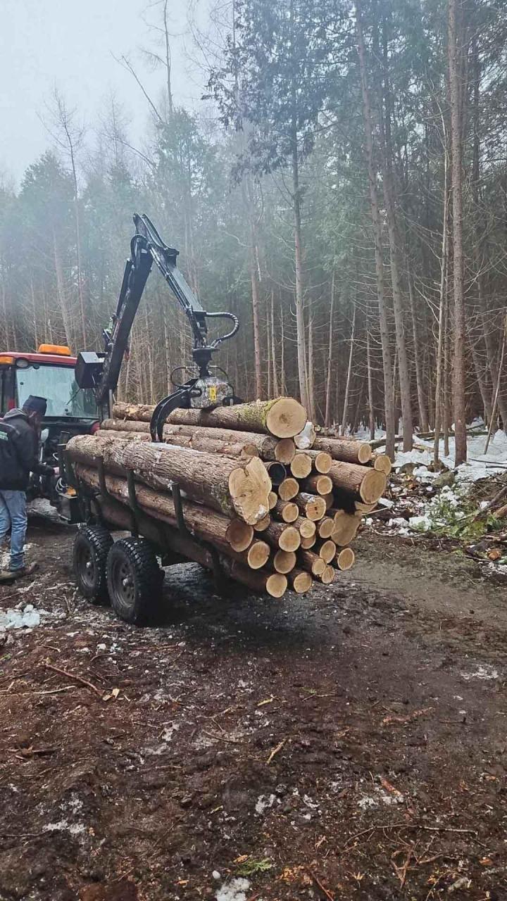 Charpente traditionnelle Charlevoix