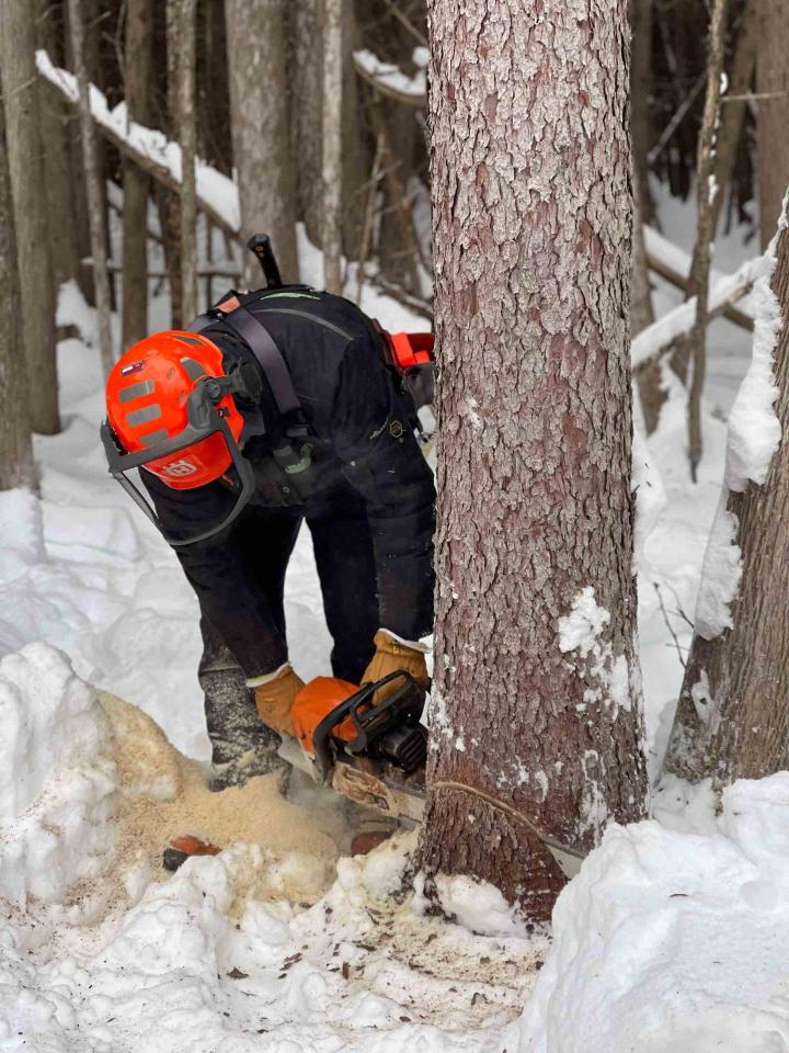 Charpente traditionnelle Charlevoix