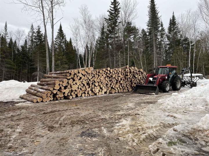 Charpente traditionnelle Charlevoix