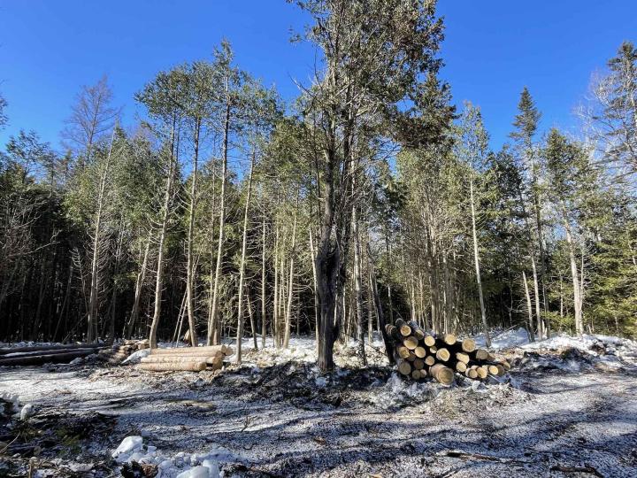 Réalisation de charpente traditionnelle Charlevoix