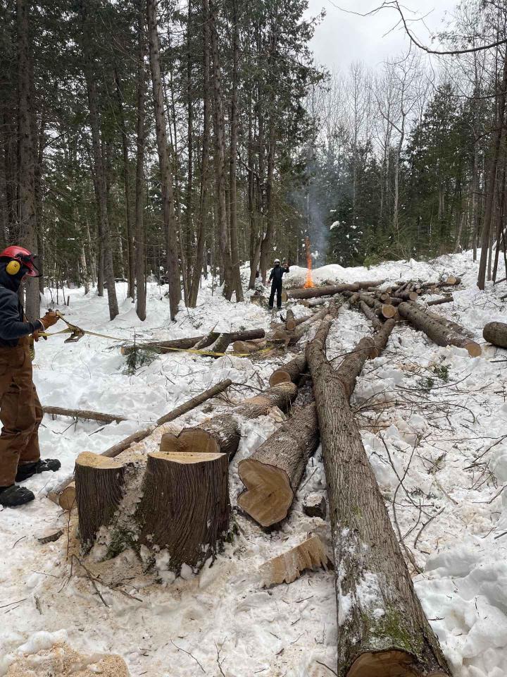 Charpente traditionnelle Charlevoix