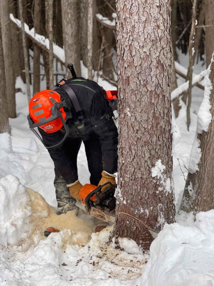 Réalisation de charpente traditionnelle Charlevoix