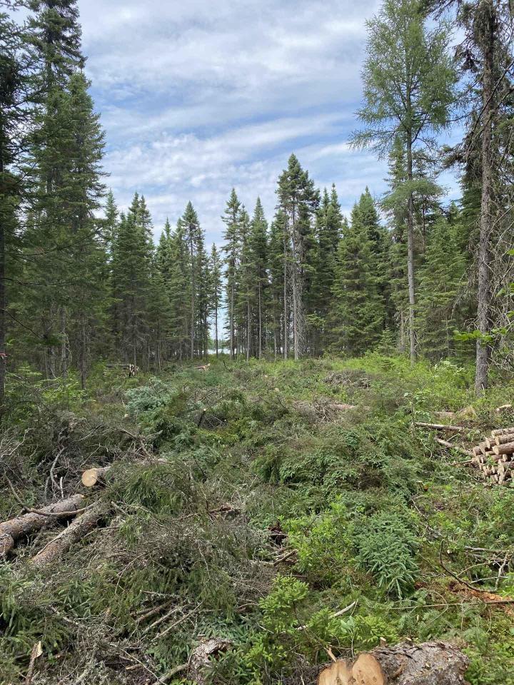 Travaux de terrassement et excavation Charlevoix