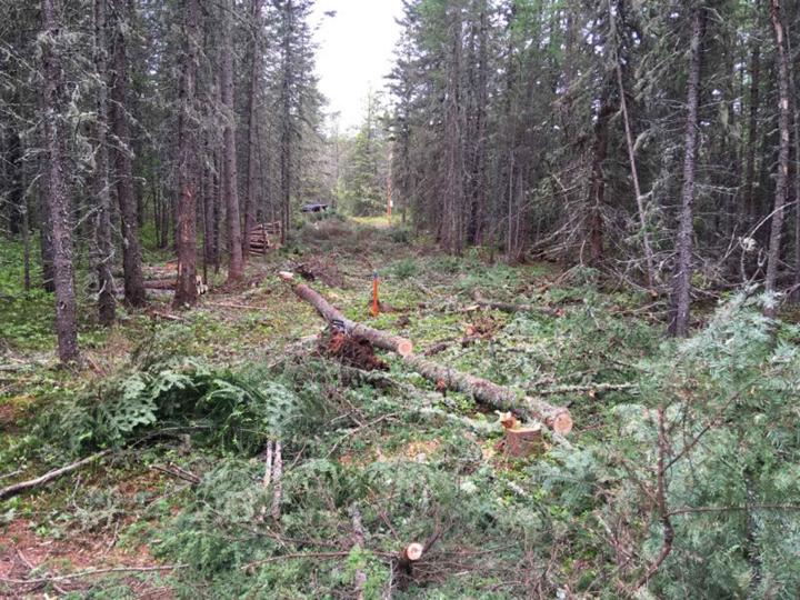 Terrassement et excavation Charlevoix